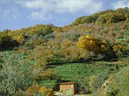 Pulse para ampliar, Valle del Jerte en Otoño.