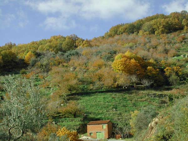 Valle del Jerte, Otoño